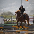 Poni club