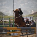 Poni club