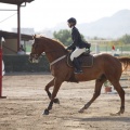 Poni club