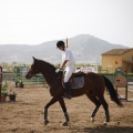 Poni club