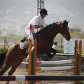 Poni club