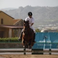 Poni club