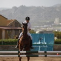 Poni club