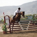 Poni club