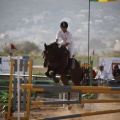 Poni club
