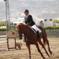 Poni club