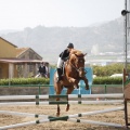 Poni club