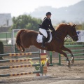 Poni club