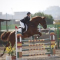 Poni club