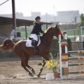 Poni club