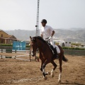Poni club