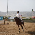 Poni club