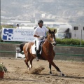 Poni club