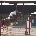 Poni club