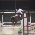 Poni club