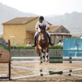 Poni club