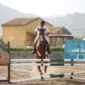 Poni club