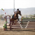 Poni club