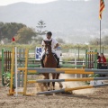 Poni club