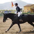 Poni club