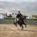 Poni club