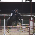 Poni club