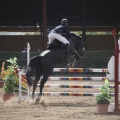 Poni club