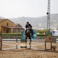 Poni club