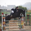 Poni club