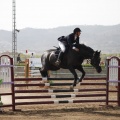 Poni club
