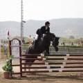 Poni club