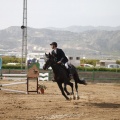 Poni club
