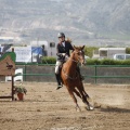 Poni club