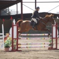Poni club