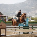 Poni club