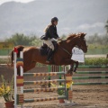 Poni club