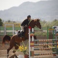 Poni club
