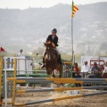 Poni club