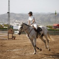 Poni club