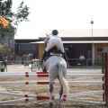 Poni club
