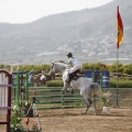 Poni club