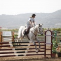 Poni club