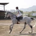 Poni club