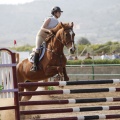 Poni club