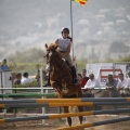 Poni club