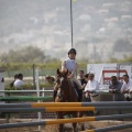 Poni club