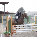 Poni club