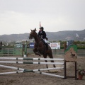 Poni club