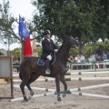Poni club