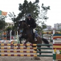 Poni club